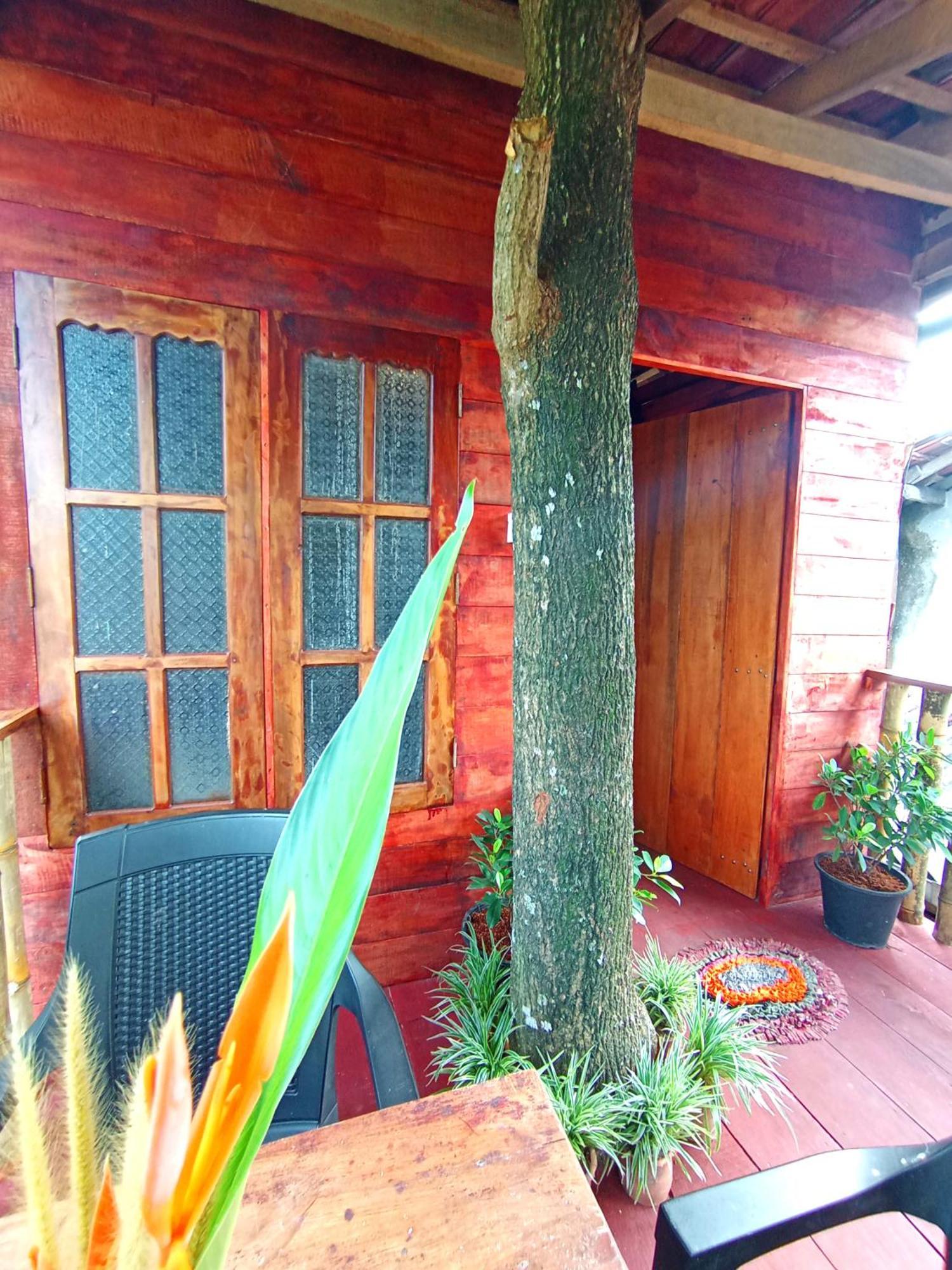 Parrot Tree House Villa มิริสซา ภายนอก รูปภาพ