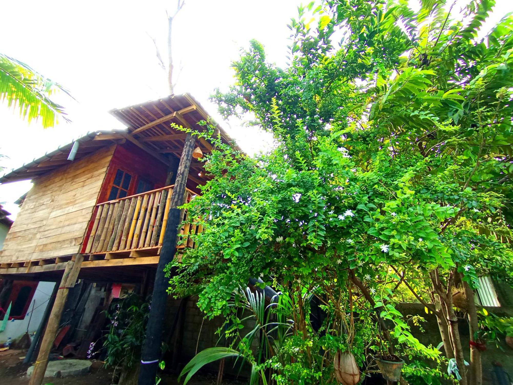 Parrot Tree House Villa มิริสซา ภายนอก รูปภาพ