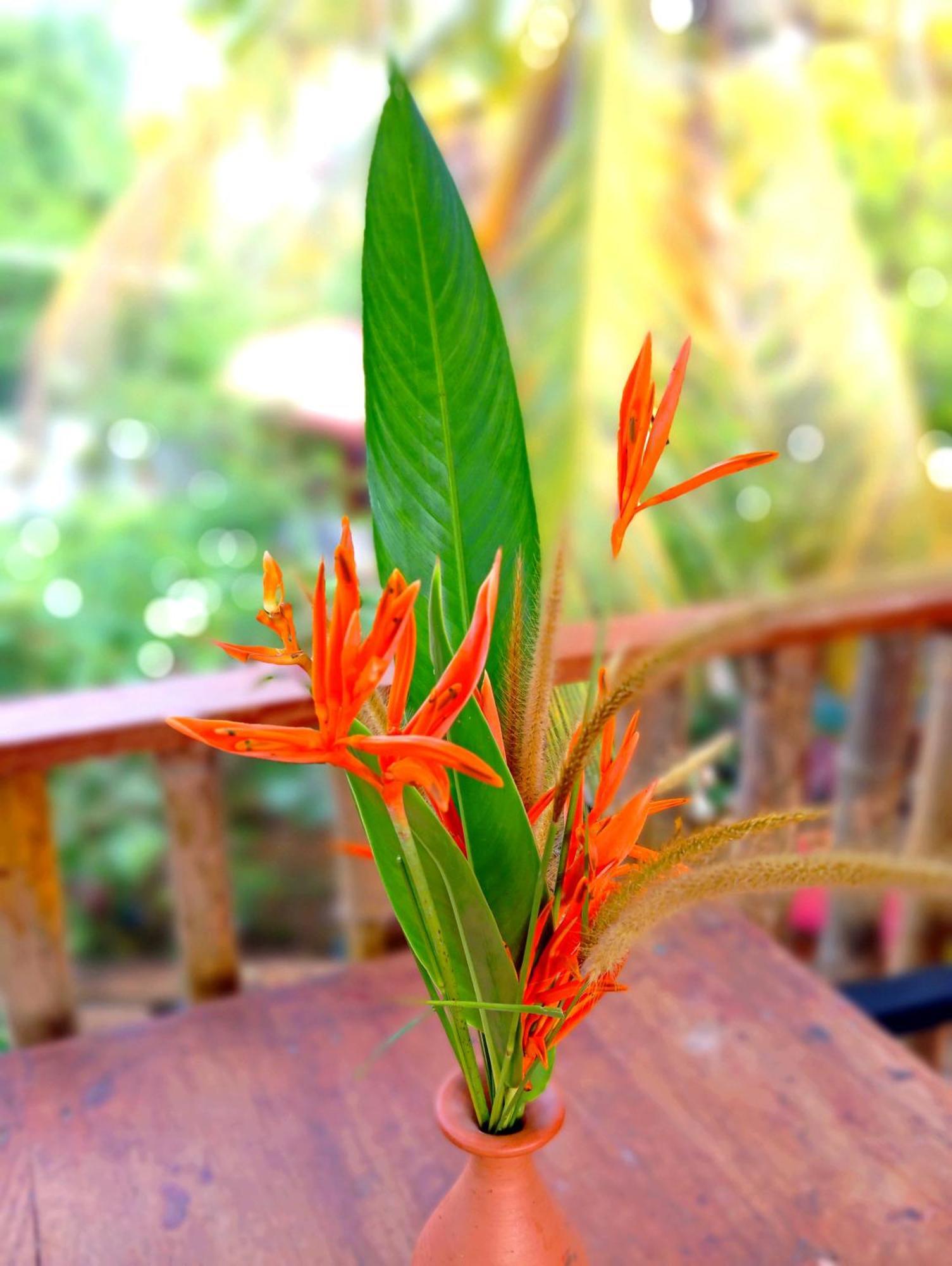 Parrot Tree House Villa มิริสซา ภายนอก รูปภาพ
