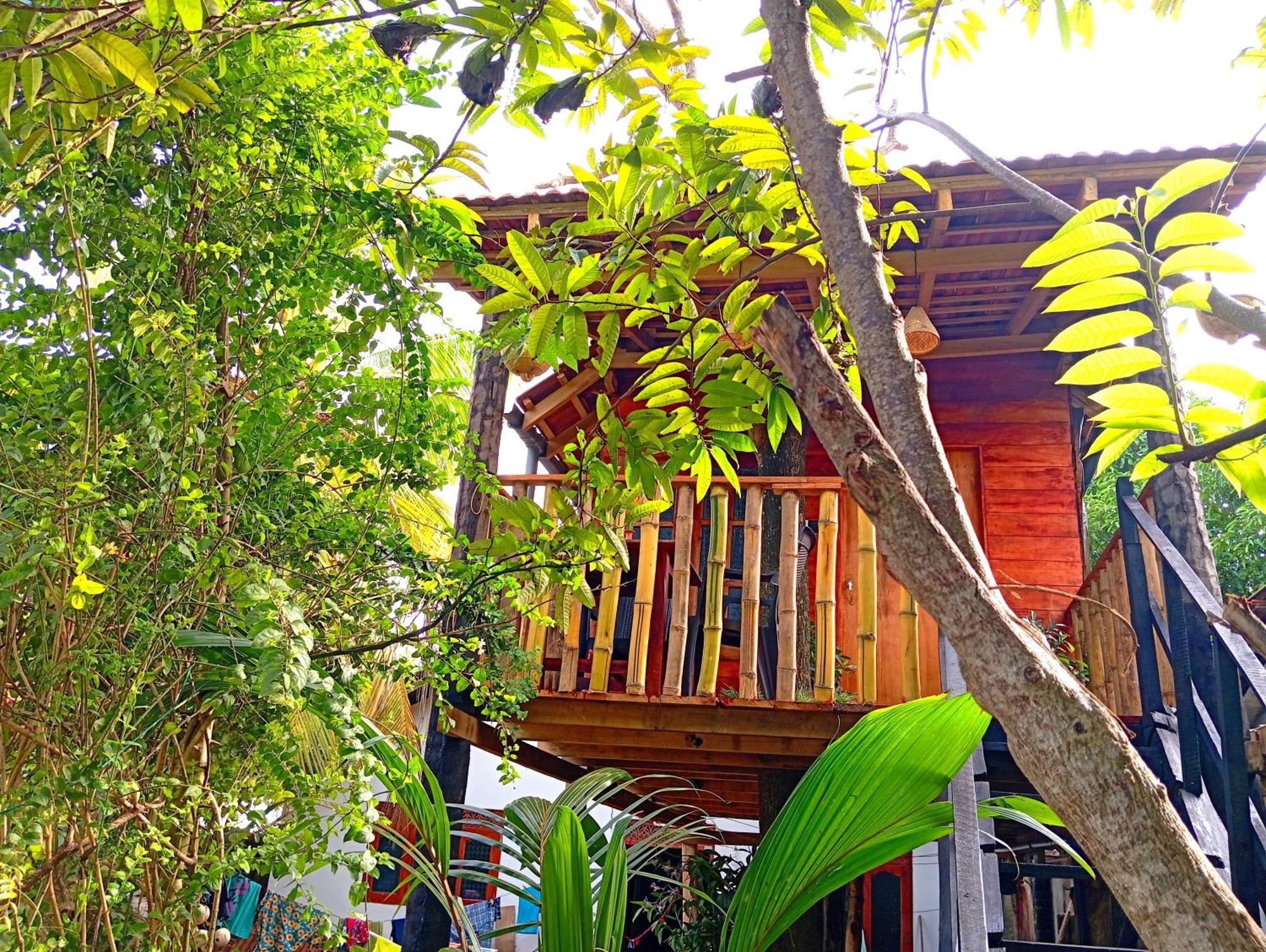 Parrot Tree House Villa มิริสซา ภายนอก รูปภาพ